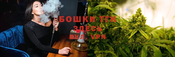 ешки Алзамай