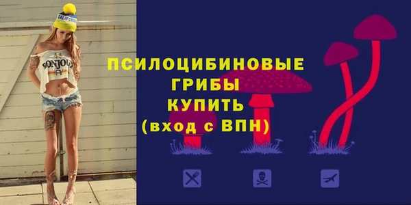 СК Алексеевка