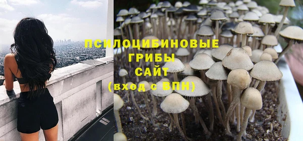 ешки Алзамай