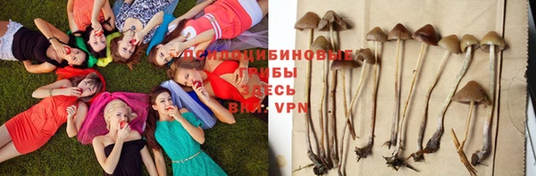 Альфа ПВП Алексин
