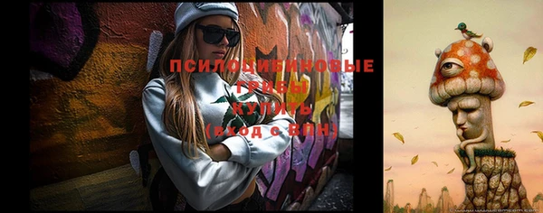 ешки Алзамай